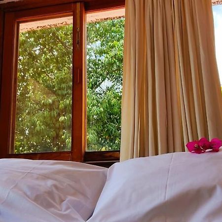 Ixlum Hoteles Y Casas Vacacionales Tepoztlan Εξωτερικό φωτογραφία